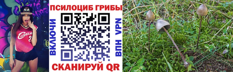 Псилоцибиновые грибы GOLDEN TEACHER  наркота  Калачинск 